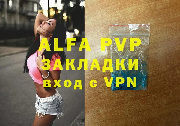 тгк Дмитриев