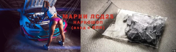 тгк Дмитриев