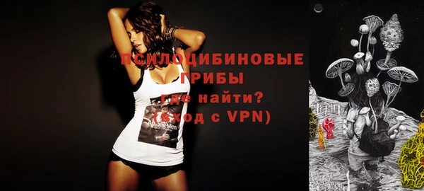 альфа пвп Дмитровск