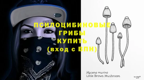 альфа пвп Дмитровск