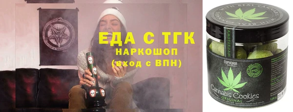 тгк Дмитриев