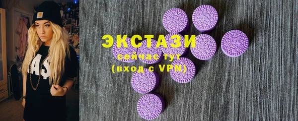 тгк Дмитриев