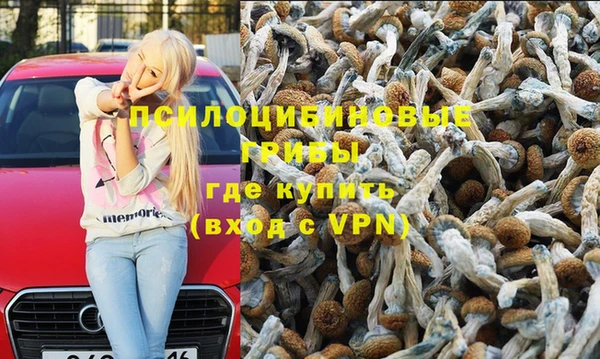 тгк Дмитриев