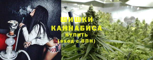 тгк Дмитриев