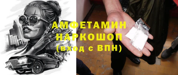 тгк Дмитриев