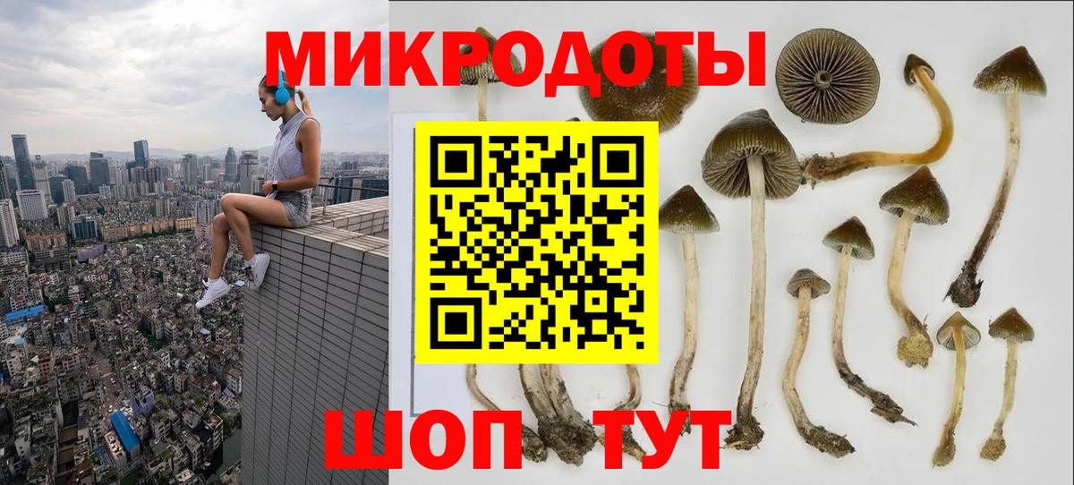 Псилоцибиновые грибы MAGIC MUSHROOMS  Галлюциногенные грибы MAGIC MUSHROOMS  Горно-Алтайск  Вход с VPN 
